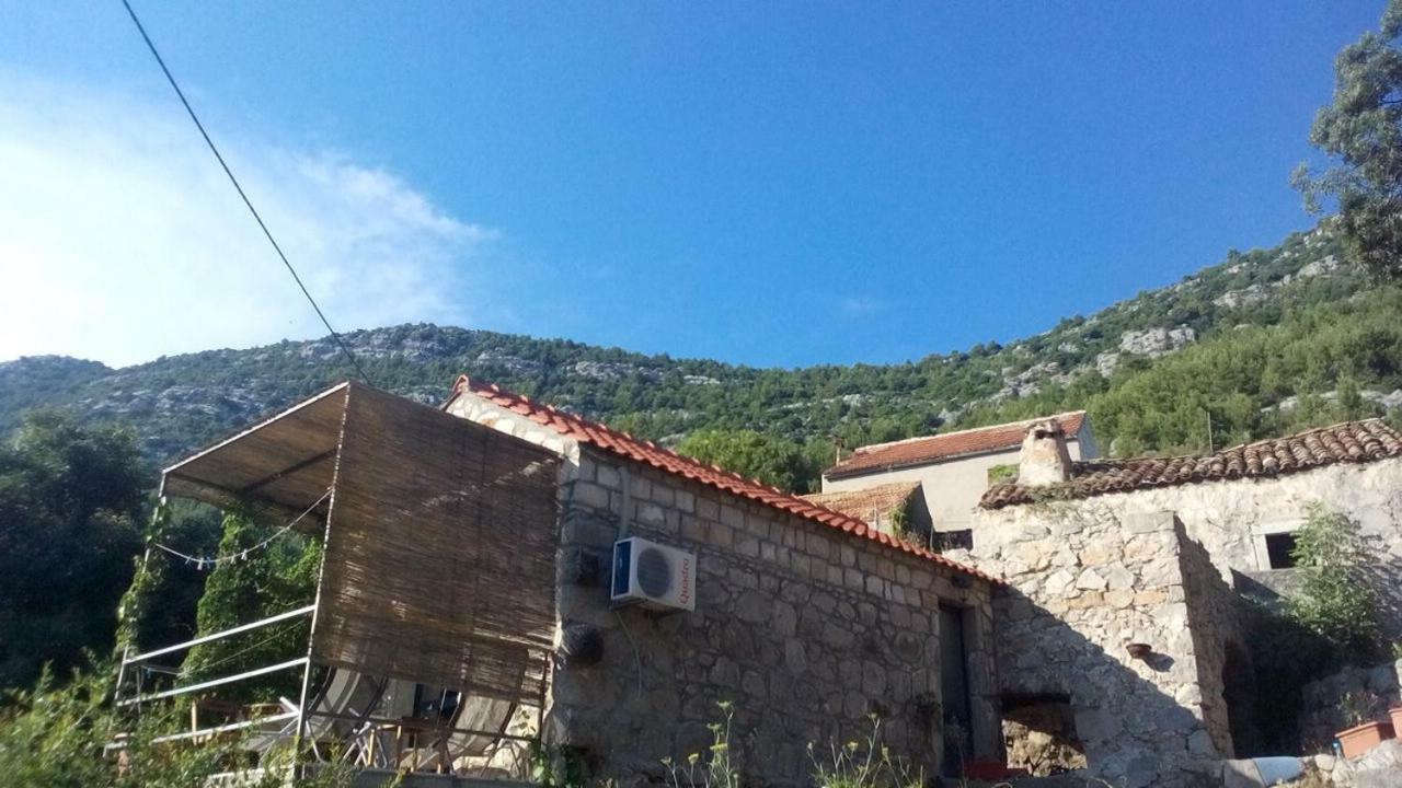 Babino Polje Cottage Melita The Apartment For Animal Lovers מראה חיצוני תמונה
