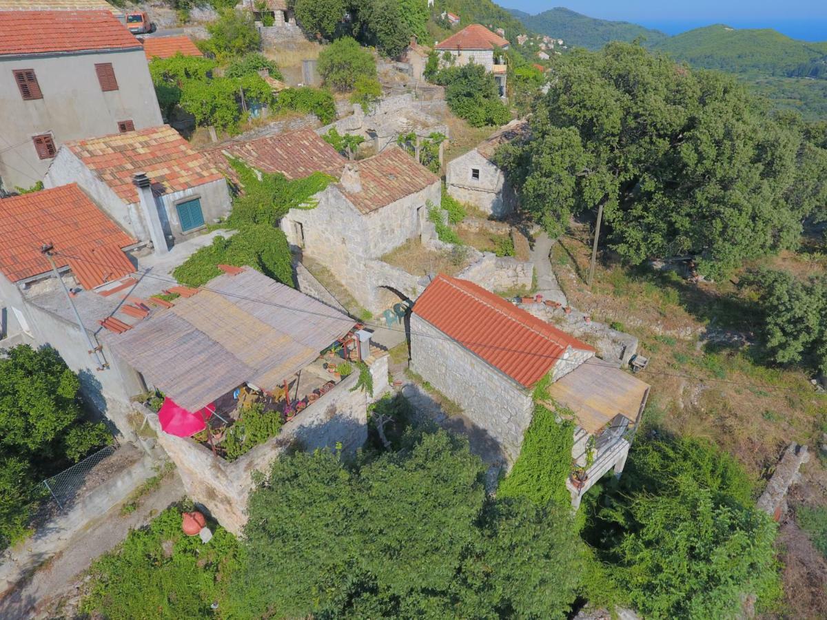 Babino Polje Cottage Melita The Apartment For Animal Lovers מראה חיצוני תמונה