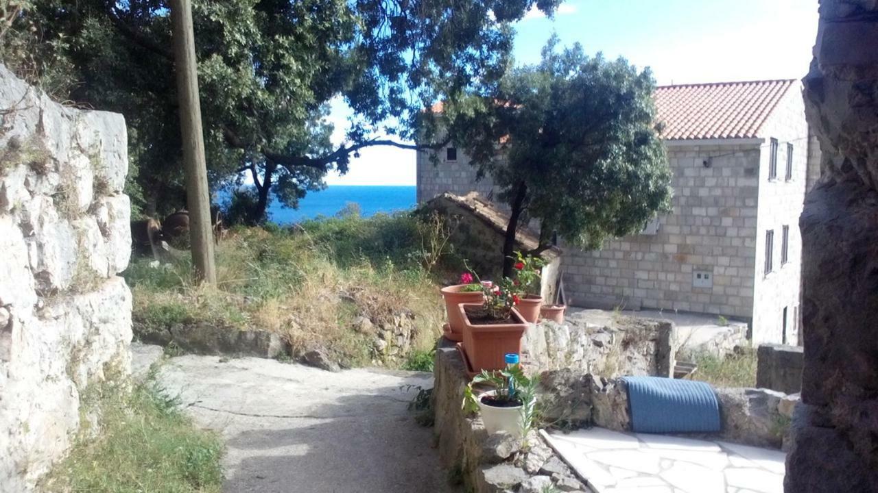 Babino Polje Cottage Melita The Apartment For Animal Lovers מראה חיצוני תמונה