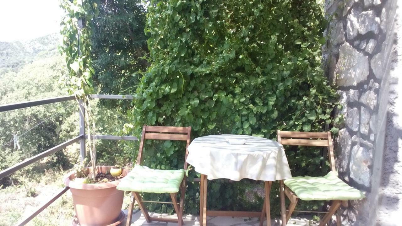 Babino Polje Cottage Melita The Apartment For Animal Lovers מראה חיצוני תמונה