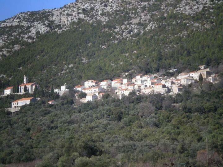 Babino Polje Cottage Melita The Apartment For Animal Lovers מראה חיצוני תמונה