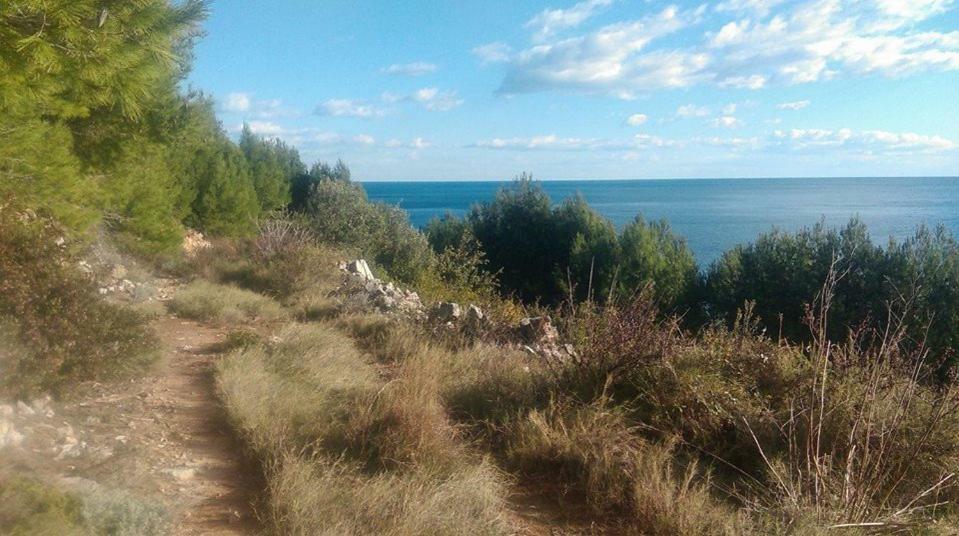 Babino Polje Cottage Melita The Apartment For Animal Lovers מראה חיצוני תמונה