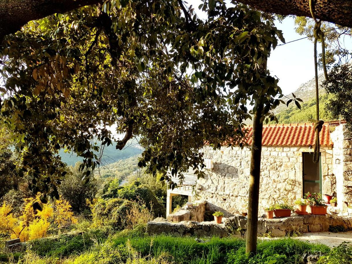 Babino Polje Cottage Melita The Apartment For Animal Lovers מראה חיצוני תמונה